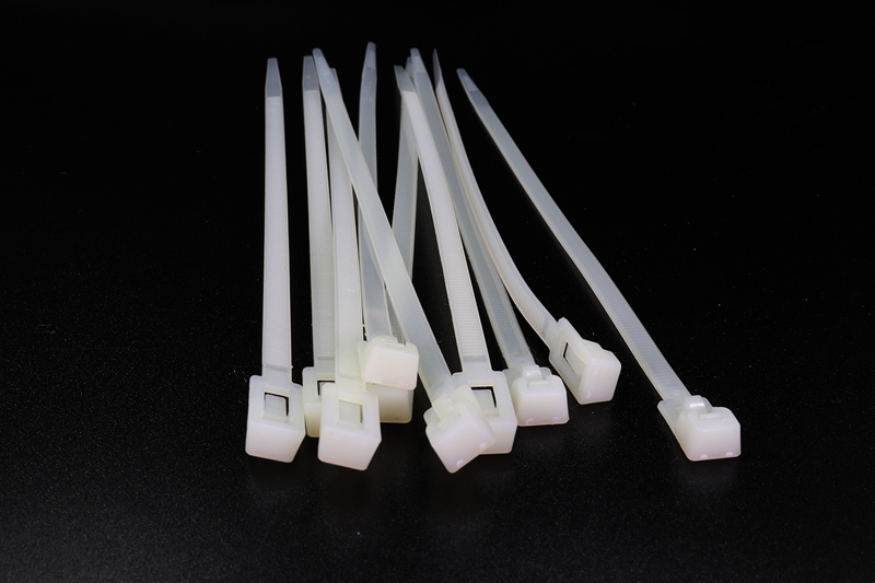 耐候耐腐蝕尼龍扎帶